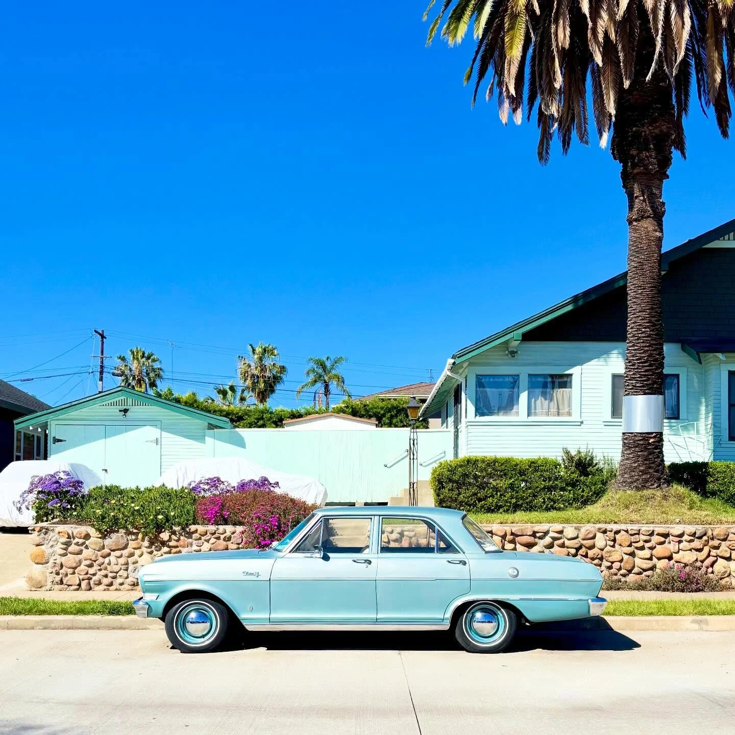 A pale blue classic car parked beneath palms on a sunny residential street.