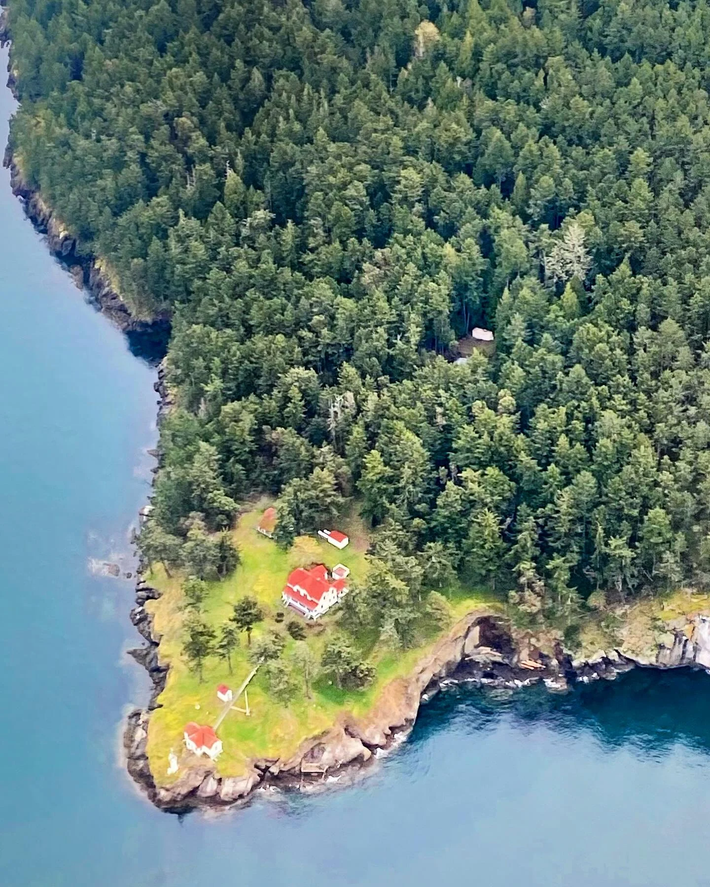An aerial view of a wooded coastline and blue water.